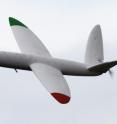 SULSA is the world's first "printed" aircraft.