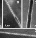 STEM HAADF micrographs show 2 layers of Bi absorbed along the general GBs of a Ni polycrystal quenched from 700°C. (C) Weakly bonded Bi atoms could cause the boundaries to easily fracture between layers and thus embrittle the material. Presumably, decohesion of this GB
occurred during TEM specimen preparation. (D) A bilayer interfacial phase of similar character was
observed in specimens quenched from 1100°C.