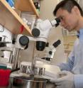 Chuan He, professor in chemistry at the University of Chicago, works in his laboratory in the Gordon Center for Integrative Science. He led an international research team that has experimentally demonstrated that RNA modification wields greater genetic influence than previously suspected.