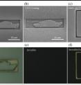 Scanning electron microscope images show a tank etched out of silicon, with and without a carbon nanotube coating (top row).  When the same structures are viewed under white light with an optical microscope (bottom row), the nanotube coating camouflages the tank structure against a black background.