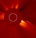 This is a sun-grazing comet as caught by SOHO's LASCO C2 camera as it dived toward the sun on July 5-6, 2011. SOHO is the overwhelming leader in spotting sungrazers, with over 2000 spotted to date, aided by the fact that the sun's bright light is itself blocked out by a coronograph.