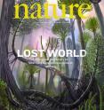 Scientists from Binghamton University and Cardiff University, and New York State Museum researchers, and have reported the discovery of the floor of the world's oldest forest in a cover article in the March 1 issue of <I>Nature</I>, a leading international journal of science.