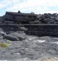 This is the boulder ridge around the coastline of the Aran Islands. New research finds that storm waves have formed these ridges, despite the contention of some researchers that only a tsunami would have enough power to do this.
