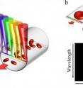 The team’s device relies on a technique called spectrally encoded confocal microscopy. (a) A single line within a blood vessel is imaged with multiple colors of light that encode lateral positions. (b) A single cell crossing the spectral line produces a two-dimensional image with one axis encoded by wavelength and the other by time.