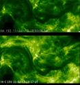 These photos of the solar corona, or million-degree outer atmosphere, show the improvement in resolution offered by NASA's High Resolution Coronal Imager, or Hi-C (bottom), versus the Atmospheric Imaging Assembly on NASA's Solar Dynamics Observatory (top). Both images show a portion of the sun's surface roughly 85,000 by 50,000 miles in size. Hi-C launched on a sounding rocket on July 11, 2012 in a flight that lasted about 10 minutes. The representative-color images were made from observations of ultraviolet light at a wavelength of 19.3 nanometers (25 times shorter than the wavelength of visible light).