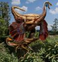This is an artistic reconstruction of feathered ornithomimid dinosaurs found in Alberta.