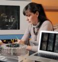 Georgia Tech associate professor Kim Cobb holds slabs of fossil coral taken from cores drilled in the Line Islands in the mid-Pacific Ocean. Powder from the slabs is examined in the mass spectrometer, which measures the ratio of oxygen isotopes to assess the strength of ENSO during the time the corals were growing.