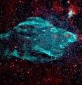 The National Radio Astronomy Observatory has adopted a new nickname for W50 of "The Manatee Nebula," because the likeness between it and a resting Florida Manatee is too uncanny to ignore. Left: The W50 supernova remnant in radio (green) glows against the infrared background of stars and dust (red).
Right: A Florida Manatee rests underwater in Three Sisters Springs in Crystal River, Florida. The National Radio Astronomy Observatory has adopted a new nickname for W50 of "The Manatee Nebula," because the likeness between it and a resting Florida Manatee is too uncanny to ignore. Left: The W50 supernova remnant in radio (green) glows against the infrared background of stars and dust (red).
Right: A Florida Manatee rests underwater in Three Sisters Springs in Crystal River, Florida.