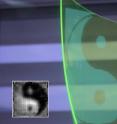 This shows a comparison between the (ground truth) image being focused on the sensor surface and the reconstructed image (inset).