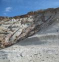 University of Washington researchers collect samples from Gran Barranca, Argentina, that offers access to layers of soils, plant remains, volcanic ash and sand going back millions of years. The section pictured represents 800,000 years of layering and is mainly composed of volcanic ash deposited by wind and rivers.