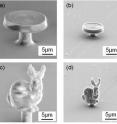 This shows two microstructures made with the new material, containing the lowest concentration of RDGE. Left: Pre-carbonization. This circular table and bunny models, just slightly larger than a typical bacterium, were formed using two-photon polymerization, the preferred method of 3-D shaping. Right: The same models after they have been carbonized, or charred. Notice that they shrink significantly but maintain their shape.