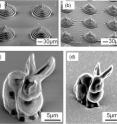 This shows two microstructures made with the new material, containing the highest concentration of RDGE. Left: Pre-charring. These pyramid and bunny models did not respond to the preferred method of 3-D shaping, so they were created using an alternative process. Right: Post-charring. Notice that the pyramid and bunny shrink significantly less than those made from the material with a lower concentration of RDGE.