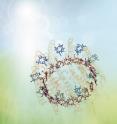 In photosynthesis sunlight is captured and transported by highly specialised antenna proteins. Surprisingly these proteins act as quantum machines and use a quantum transport mechanism to efficiently guide the light and finally store the energy in their reaction centres. Researchers from ICFO -- the Institute of Photonic Science in Barcelona have for the first time tracked this energy flow in individual proteins and discovered that the quantum coherences makes the light flow in the antenna protein immune to the ubiquitous external natural turmoil.