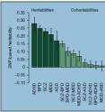 Common inherited genetic variation (single nucleotide polymorphisms, or SNPs) accounted for up to about 28 percent of the risk for some disorders, such as ADHD (dark green).  Among pairs of disorders (light green), schizophrenia and bipolar disorder (SCZ-BPD) shared about 16 percent of the same common genetic variation (coheritabilities).