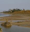 This is the region where the study was performed (Salt Lake and the Hala Sultan Tekke in the background).