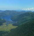 This is Tongass National Forest, Alaska. The researchers predict that in the future forests of this type can grow in the southern parts of Greenland.