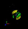 This model of the guanidinium chloride salt in solution shows carbon (yellow) and water (green) surrounding the cations and 
demonstrates cation-cation pairing.