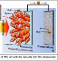 This is aSchematic Diagram of PEC cell with wormlike hematite photoanode.