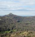 A new CU-Boulder study indicates the current spruce beetle epidemic in Colorado, including on Wolf Creek Pass shown here, is caused primarily by drought.