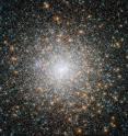 This cluster of stars is known as Messier 15, and is located some 35 000 light-years away in the constellation of Pegasus (The Winged Horse). It is one of the oldest globular clusters known, with an age of around 12 billion years.
Both very hot blue stars and cooler golden stars can be seen swarming together in the image, becoming more concentrated towards the cluster's bright centre. Messier 15 is one of the densest globular clusters known, with most of its mass concentrated at its core. As well as stars, Messier 15 was the first cluster known to host a planetary nebula, and it has been found to have a rare type of black hole at its centre.
This new image is made up of observations from Hubble's Wide Field Camera 3 and Advanced Camera for Surveys in the ultraviolet, infrared, and optical parts of the spectrum. This cluster of stars is known as Messier 15, and is located some 35 000 light-years away in the constellation of Pegasus (The Winged Horse). It is one of the oldest globular clusters known, with an age of around 12 billion years.
Both very hot blue stars and cooler golden stars can be seen swarming together in the image, becoming more concentrated towards the cluster's bright centre. Messier 15 is one of the densest globular clusters known, with most of its mass concentrated at its core. As well as stars, Messier 15 was the first cluster known to host a planetary nebula, and it has been found to have a rare type of black hole at its centre.
This new image is made up of observations from Hubble's Wide Field Camera 3 and Advanced Camera for Surveys in the ultraviolet, infrared, and optical parts of the spectrum.