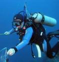 Richard Agraba hunts lionfish in Salt Cay, Turks and Caicos islands, British West Indies, as one part of local efforts to help reduce lionfish populations on reefs.