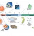 This is a timeline of the history of our planet places the formation of the Jack Hills zircon and a "cool early Earth" at 4.4 billion years.