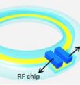 This is an illustration of the final device. The device would be placed in an artificial lens with its antenna circling the perimeter, and the sensor and radio frequency chip inside.