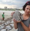 This is Helen White on a Gulf coast beach holding a jetty rock with oil residue on it.