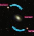 This is an artist's impression of the coherent orbit of dwarf galaxies about a large galaxy.
