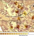 This map shows an area of western Australia (see inset, upper right) surrounding the Parnngurr community occupied by roughly 100 of members of an Aboriginal people known as the Martu. Different shades of brown to yellow indicate the ages of patches of grassy vegetation -- in other words, the time since each patch was burned. The Martu set small fires to expose the burrows of a major food source: sand monitor lizards. The circles indicate traditional hunting areas (connected by roads indicated by dashed lines) where such fires are most often set and where the Martu also hunt for kangaroos. A University of Utah anthropologist and colleagues found that the patchiness of the vegetation provides a variety of habitat that bolsters kangaroo populations, particularly at moderate distances from Parnngurr.