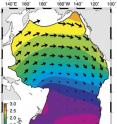 A map produced by scientists at the University of Nevada, Reno, and Rice University shows predicted velocities for sectors of the Pacific tectonic plate relative to points near the Pacific-Antarctic ridge, which lies in the South Pacific ocean. The researchers show the Pacific plate is contracting as younger sections of the lithosphere cool.