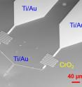 This image, taken with an electron microscope, shows two compact chromium oxide resistors in series with a quantum phase-slip nanowire. (The nanowire is too small to see at this scale.)