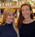 Scripps Research Institute Assistant Professor Candice Contet (right) and Research Associate Melissa Herman were among the authors of the new paper.