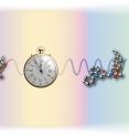Period-lengthening/-shortening molecules can change the biological clock rhythm.