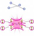 Conventional theories predict that dark matter particles would not collide, rather they would slip past one another. Hochberg et al. predicts dark matter SIMPs would collide and interact with one another.