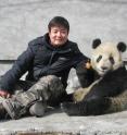 Jindong Zhang, a research associate at Michigan State University Center for Systems Integration and Sustainability, with a panda friend at the Wolong Nature Reserve.