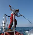 Ari Friedlaender of Oregon State University tags a blue whale. Image collected under NOAA Fisheries permit.