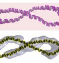 The image shows the structure of the DNA calculated with the supercomputer simulations (in colour) superimposed upon the cryo-electron tomography data (in white or yellow). (There is no superimposition onto cryo-electron tomography data for the purple figure-8 shape.) You can see that the familiar double helix has been either simply bent into a circle or twisted into a figure-8.