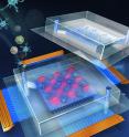 The cover image of the current issue of the journal <em>Lab on a Chip</em> shows an artist's conception of a reusable acoustic tweezers device (bottom) with a disposable microfluidic laboratory for cell manipulation and disease diagnosis.