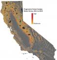 This image shows progressive water stress on California's forests.