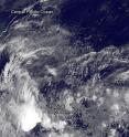 This image from NOAA's GOES-West satellite on Dec. 31 at 1200 UTC (7 a.m. EST) shows newly formed Tropical Depression 9C in the Northern Central Pacific Ocean.