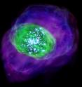 This is an artist's concept of SXDF-NB1006-2. Many young bright stars are located in the galaxy and ionize the gas inside and around the galaxy. Green color indicates the ionized oxygen detected by ALMA, whereas purple shows the distribution of ionized hydrogen detected by the Subaru Telescope