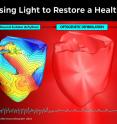 This is an illustration depicting EKG readings before, during and after the use of light -- optogenetic deffibtillation -- to restore a normal heartbeat to an arrhythmic heart.