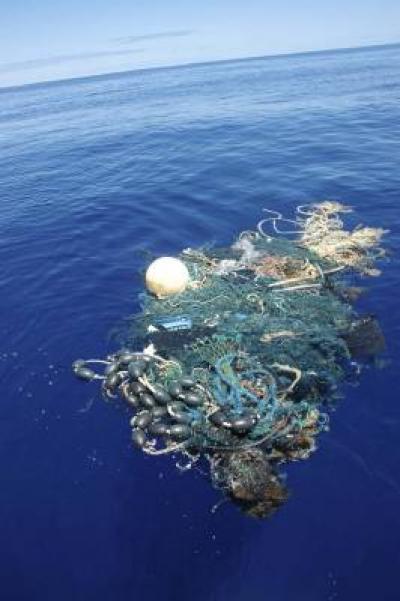 Scientists find 'great Pacific Ocean garbage patch' | (e) Science News